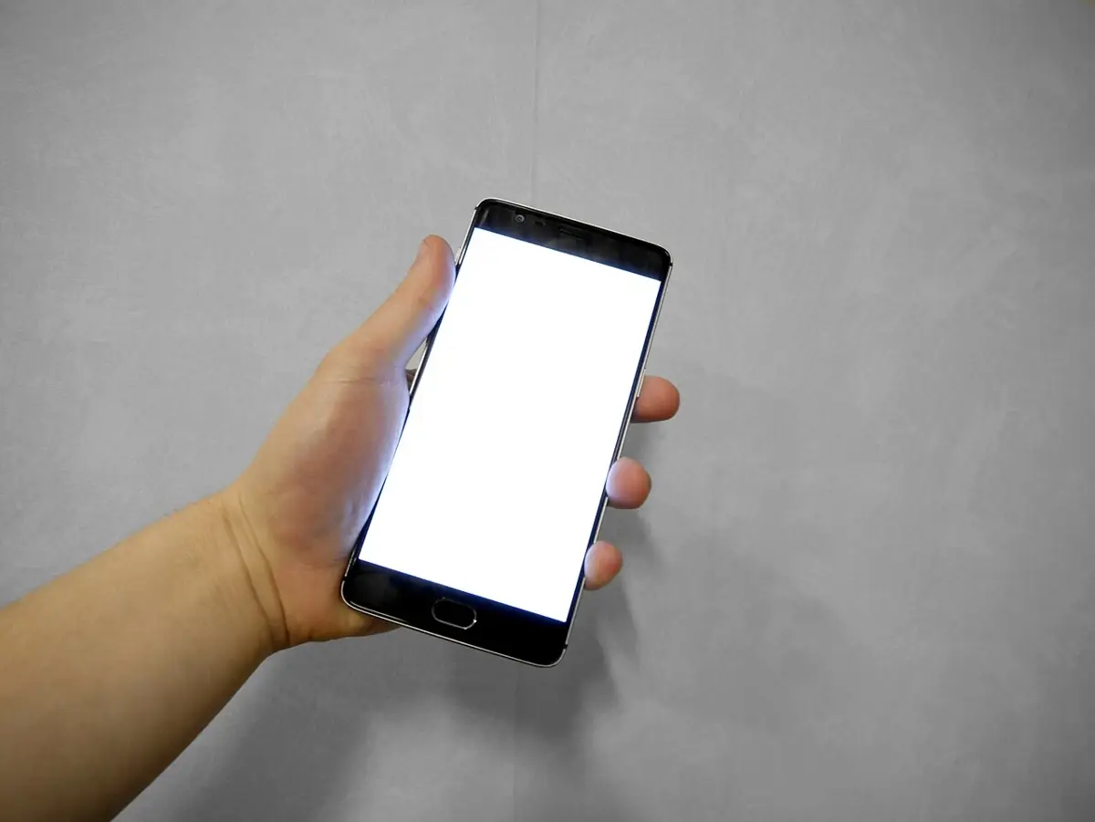 Foto: Hand holding smartphone with blank white screen.