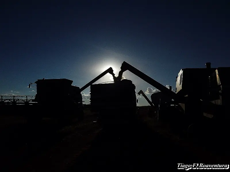 Foto ilustrativa: Colheita de grãos à noite no campo