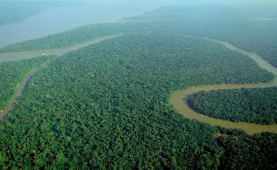 Foto ilustrativa: Rio serpenteando pela Floresta Amazônica, vista aérea