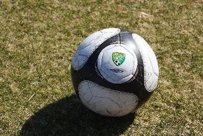 Foto ilustrativa: Bola de futebol na grama