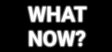 Capa de WHAT NOW? - The Social Experiment Game